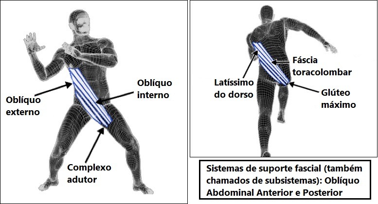 Sistemas de suporte fascial oblíquos anterior e posterior.