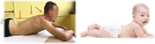 Comparação bebê x adulto no teste de estabilização na posição de 3 meses pronada.