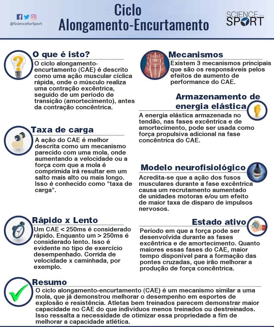 Infográfico - Ciclo Alongamento Encurtamento.