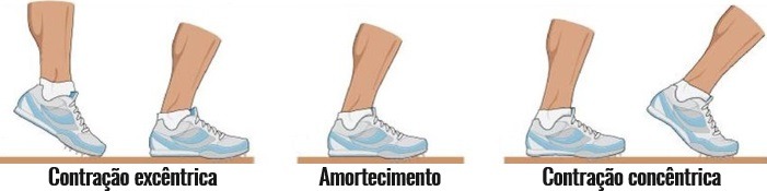 Ciclo alongamento-encurtamento.