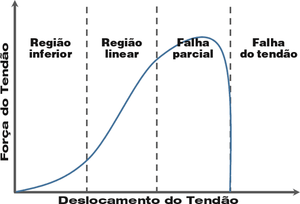 Curva força-comprimento do tendão.